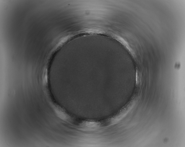 X0000103270205200809191750