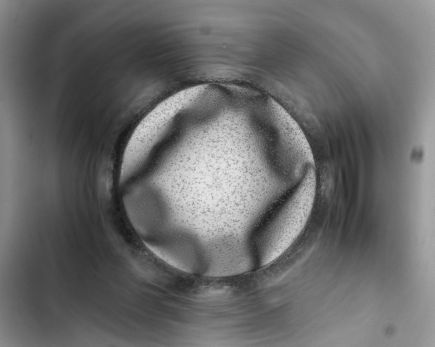 X0000103270206200809191750