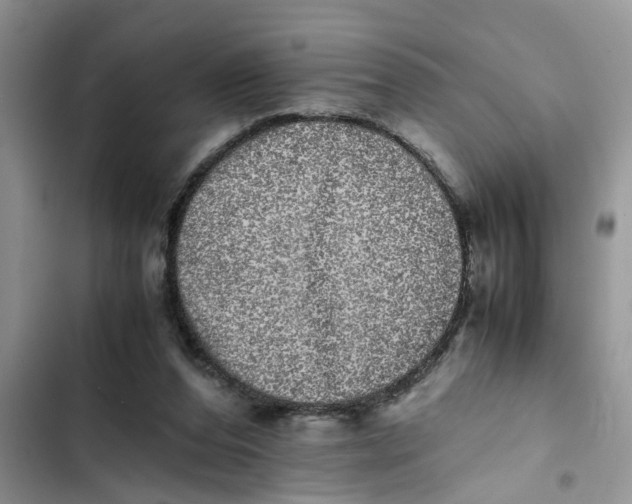 X0000103270208200809191750
