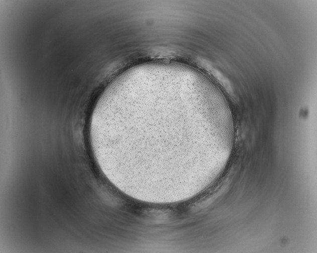 X0000103270209200809191750