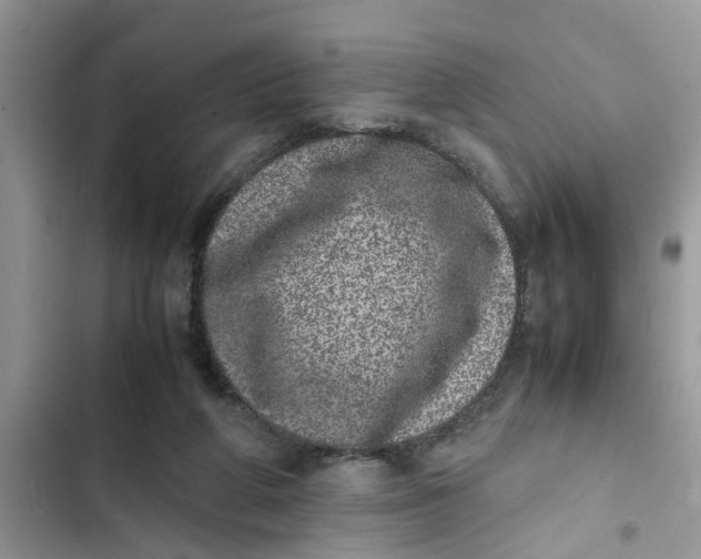 X0000103270210200809191750