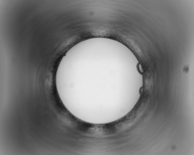 X0000103270211200809191750