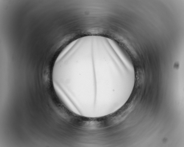 X0000103270212200809191750