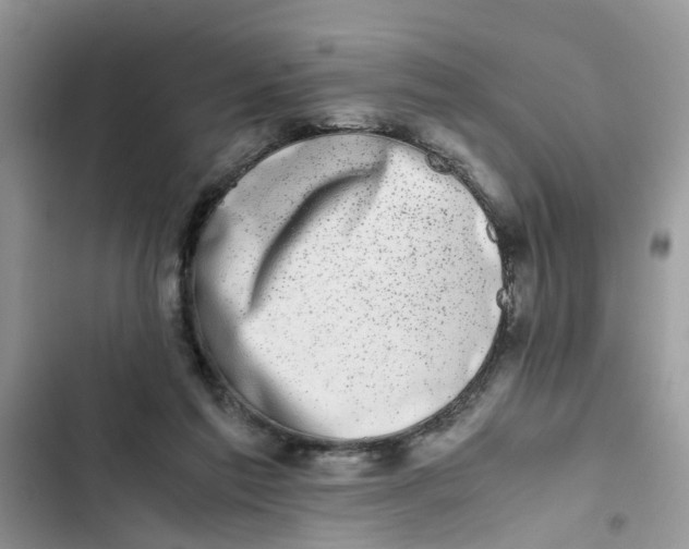 X0000103270213200809191750
