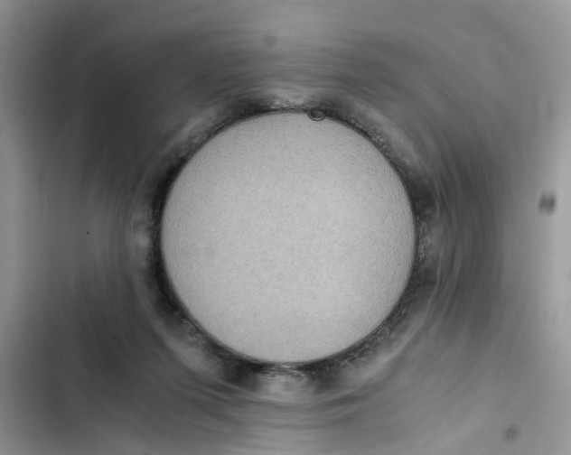 X0000103270215200809191750
