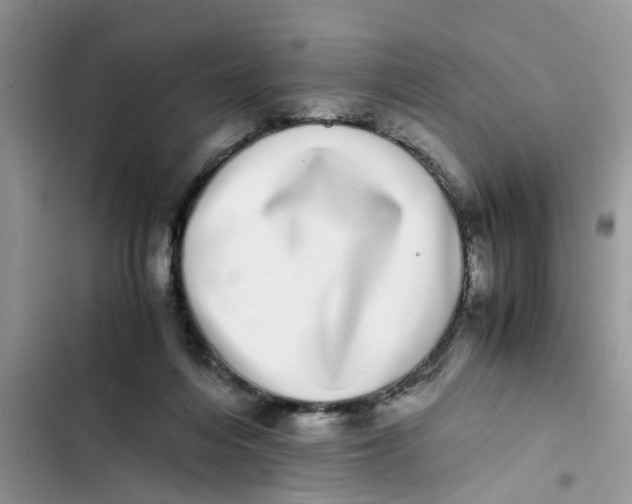 X0000103270216200809191750