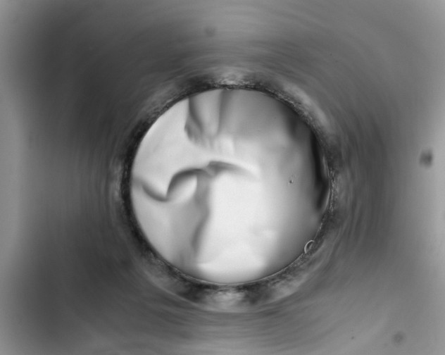 X0000103270217200809191750