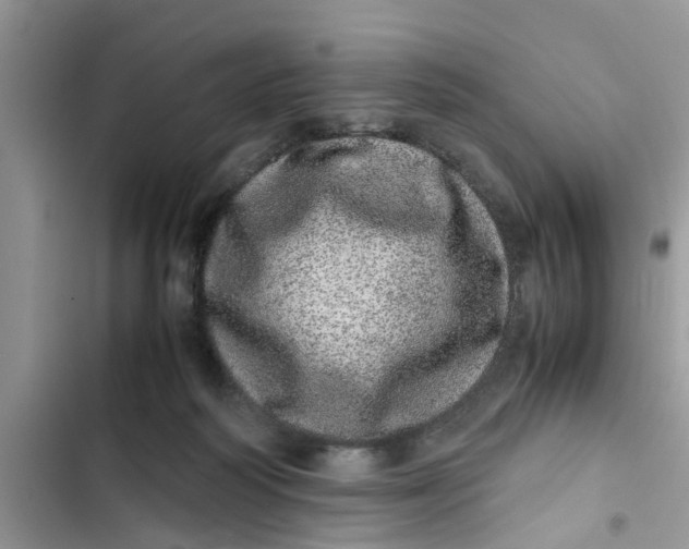 X0000103270218200809191750