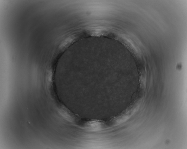 X0000103270219200809191750