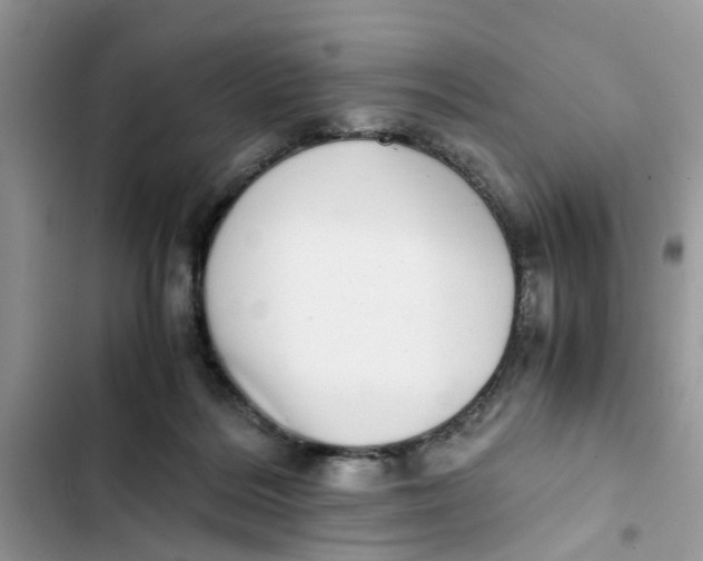 X0000103270220200809191750