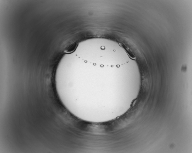 X0000103270221200809191750