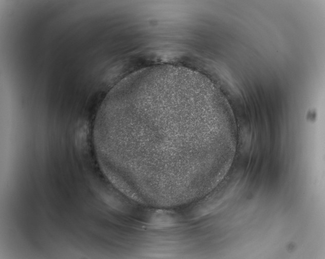 X0000103270222200809191750