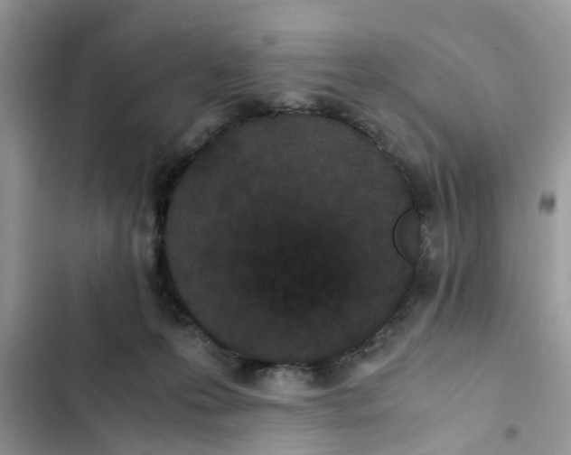 X0000103270223200809191750