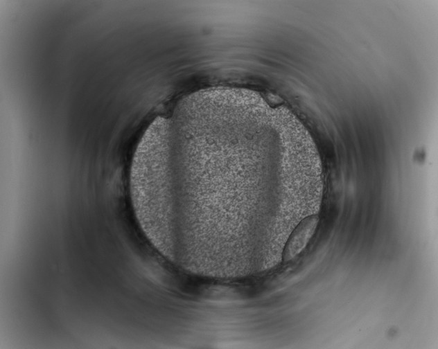 X0000103270224200809191750