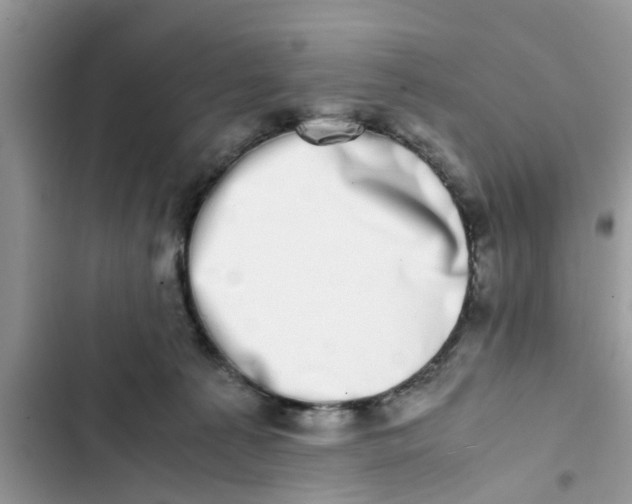 X0000103270225200809191750