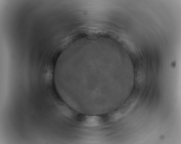 X0000103270226200809191750