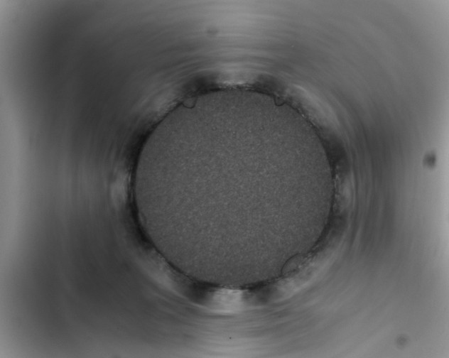 X0000103270227200809191750
