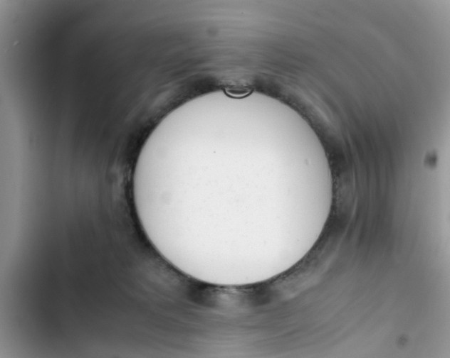 X0000103270229200809191750