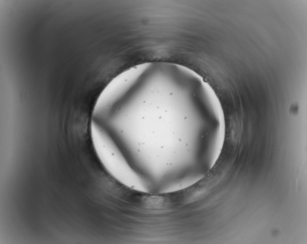 X0000103270230200809191750