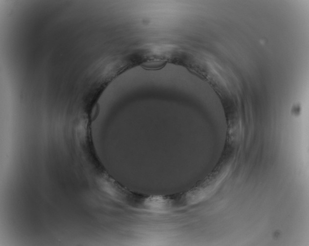 X0000103270231200809191750