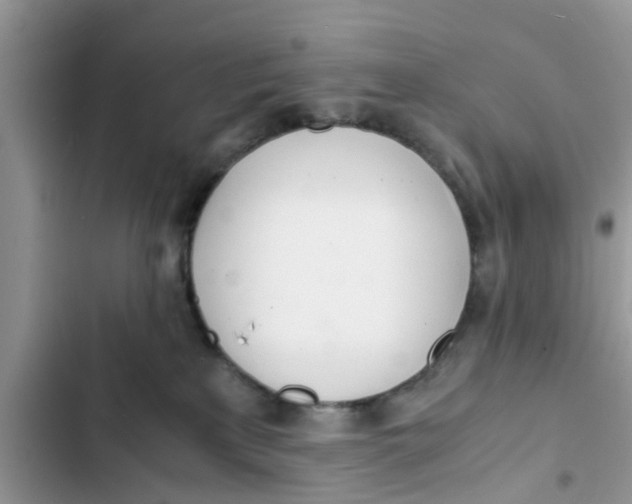 X0000103270233200809191750