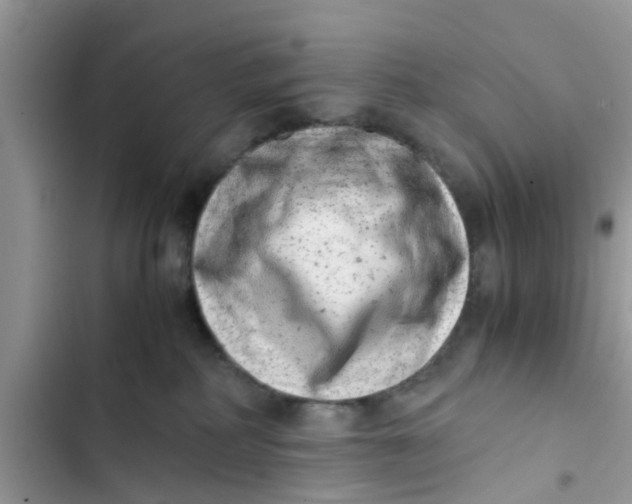 X0000103270234200809191750