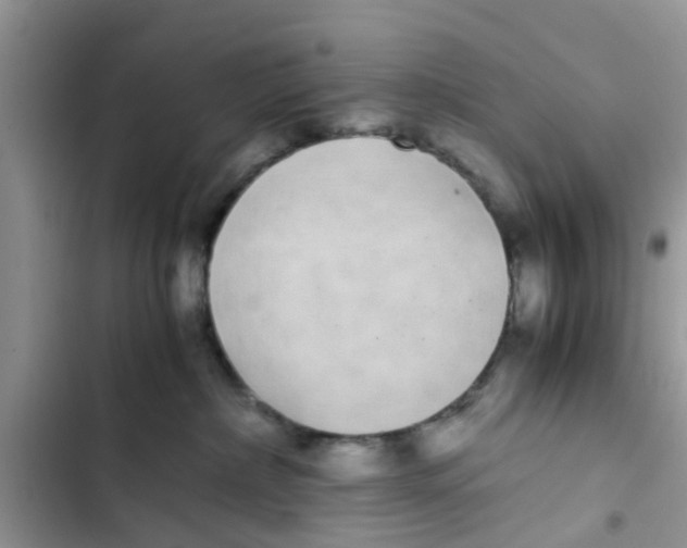 X0000103270236200809191749