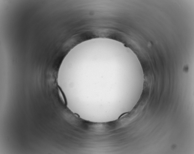 X0000103270237200809191749