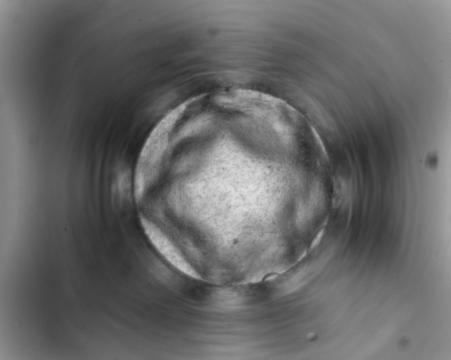 X0000103270238200809191749