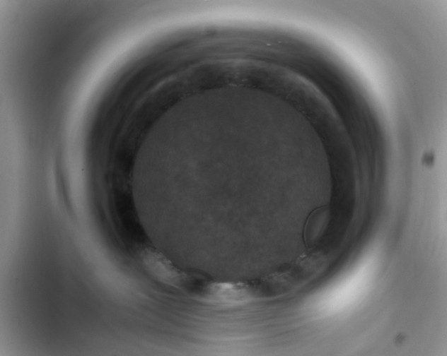X0000103270239200809191749