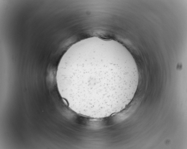 X0000103270240200809191749