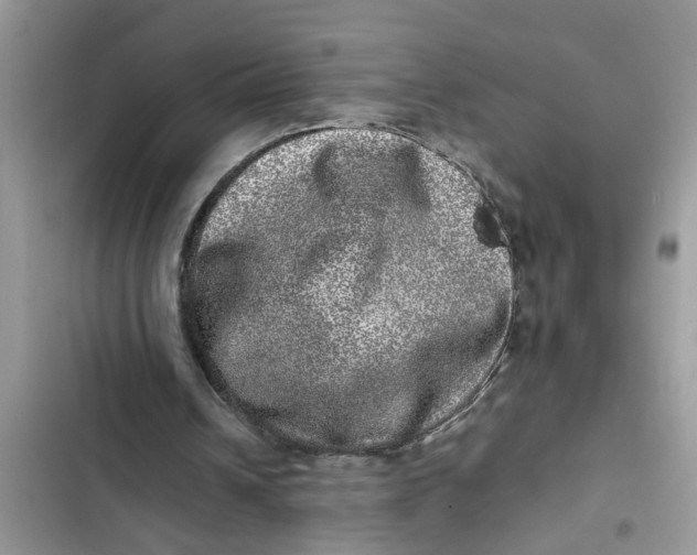 X0000103270242200809191749