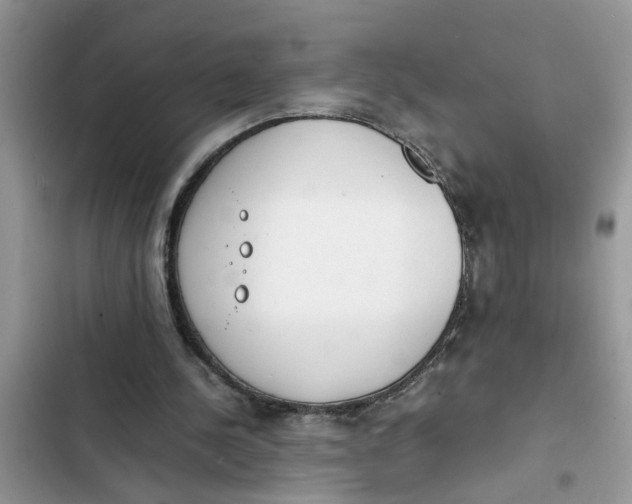 X0000103270244200809191749