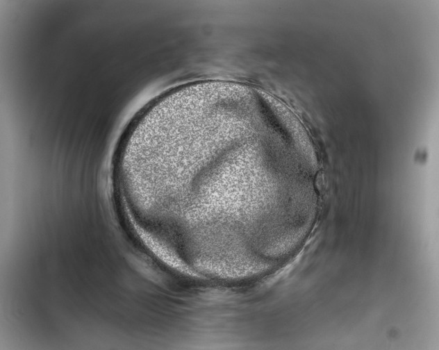 X0000103270246200809191749