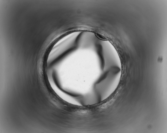 X0000103270247200809191749