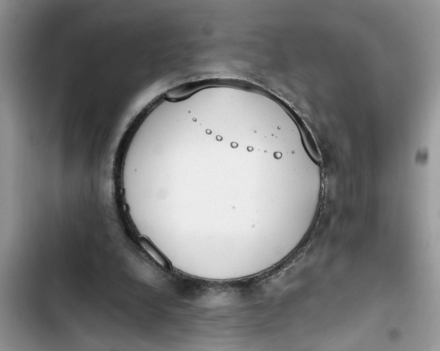X0000103270248200809191749