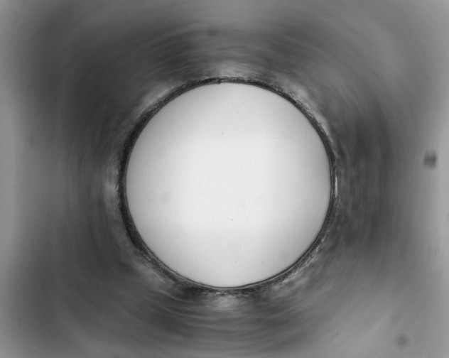 X0000103270249200809191749