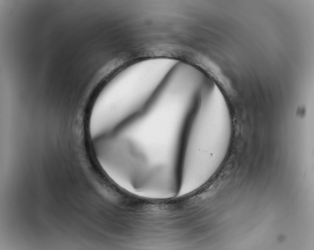 X0000103270250200809191749
