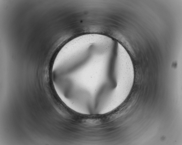 X0000103270251200809191749