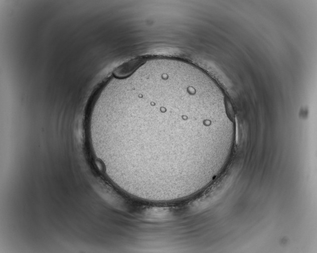 X0000103270252200809191749