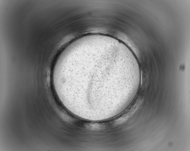 X0000103270253200809191749