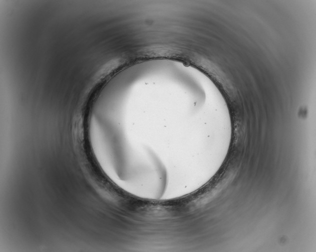X0000103270254200809191749