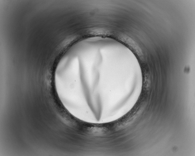 X0000103270255200809191749