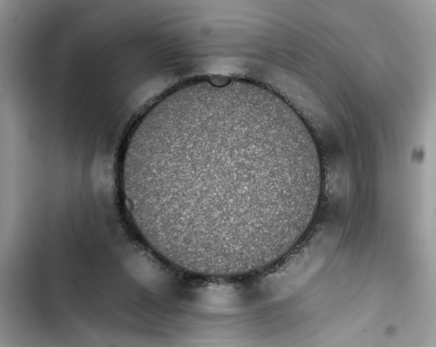 X0000103270256200809191749