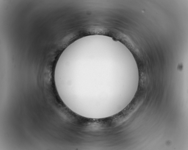 X0000103270259200809191749
