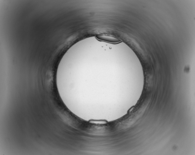 X0000103270260200809191749
