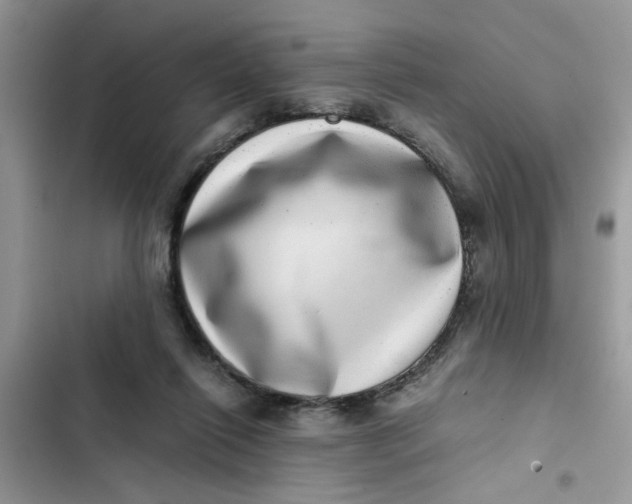 X0000103270262200809191749