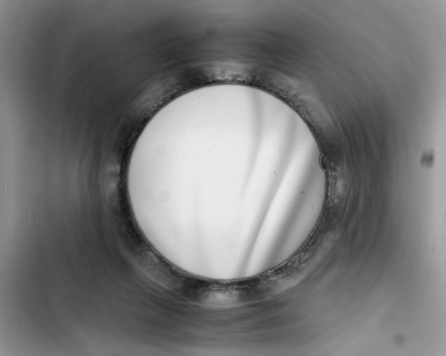 X0000103270263200809191749