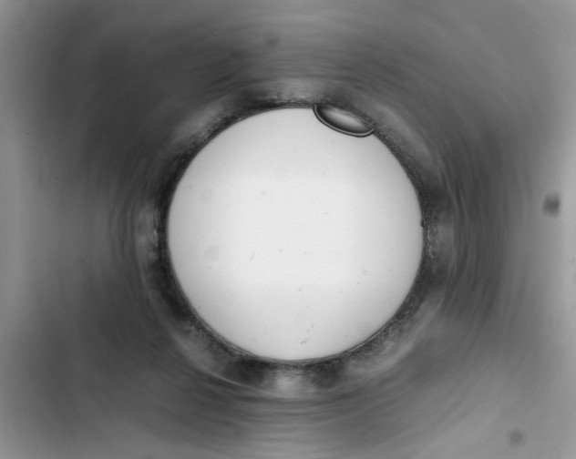 X0000103270264200809191749