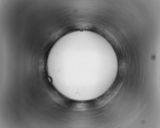X0000103270268200809191749